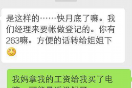 武陵源遇到恶意拖欠？专业追讨公司帮您解决烦恼